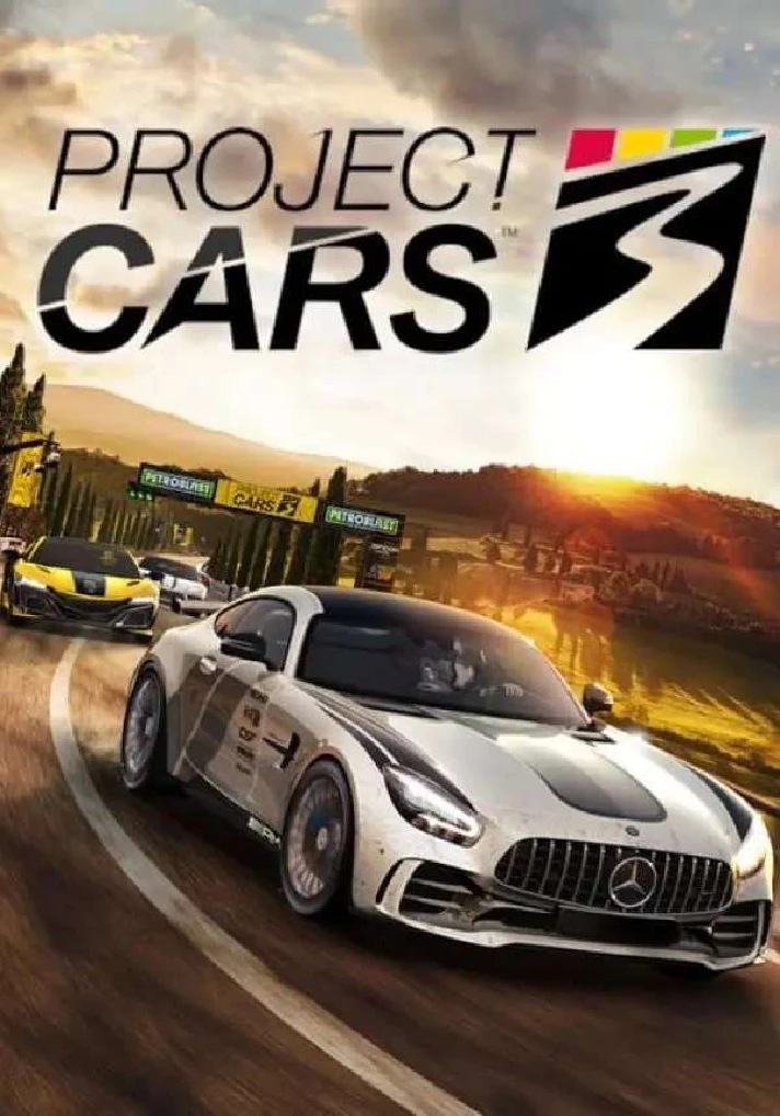 🔶Project CARS 3(RU/CIS)Steam