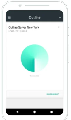 Access to private VPN in Switzerland + ad blocker