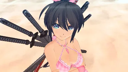 SENRAN KAGURA ESTIVAL VERSUS - Surprise Pack DLC