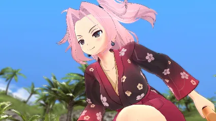 SENRAN KAGURA ESTIVAL VERSUS - Splash Pack DLC