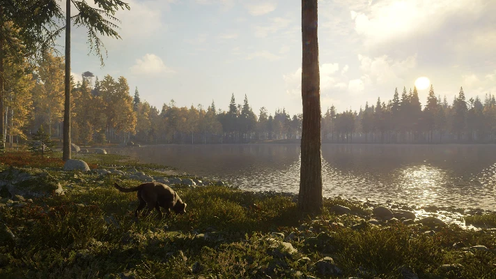 THEHUNTER: CALL OF THE WILD™ - LABRADOR RETRIEVER❗XBOX