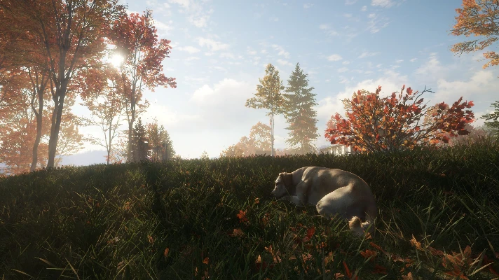 THEHUNTER: CALL OF THE WILD™ - LABRADOR RETRIEVER❗XBOX