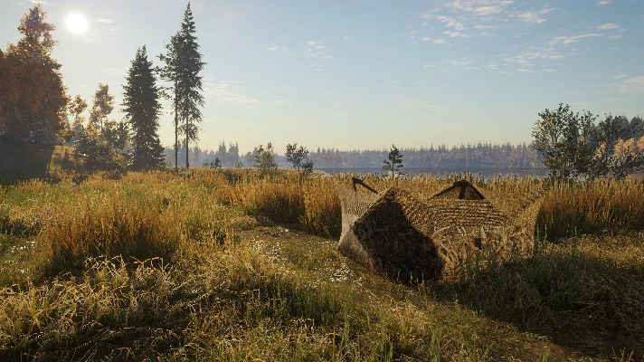 THEHUNTER: CALL OF THE WILD™ - REVONTULI COAST❗XBOX🔑🔑