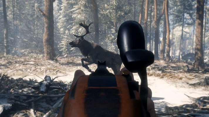 THEHUNTER CALL OF THE WILD SMOKING BARRELS WEAPON PACK