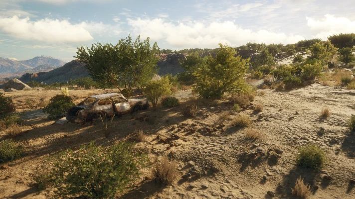 THEHUNTER: CALL OF THE WILD™ - RANCHO DEL ARROYO❗XBOX🔑