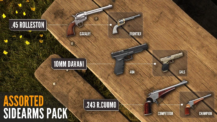 THEHUNTER CALL OF THE WILD™ - ASSORTED SIDEARMS PACK