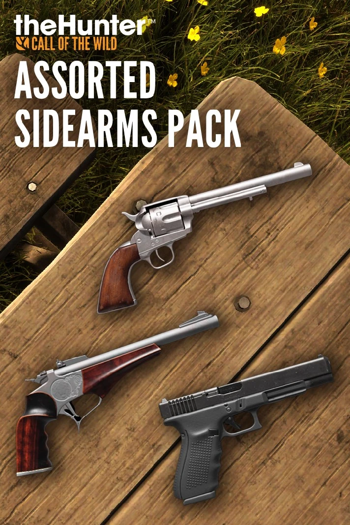 THEHUNTER CALL OF THE WILD™ - ASSORTED SIDEARMS PACK