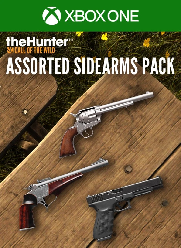 THEHUNTER CALL OF THE WILD™ - ASSORTED SIDEARMS PACK