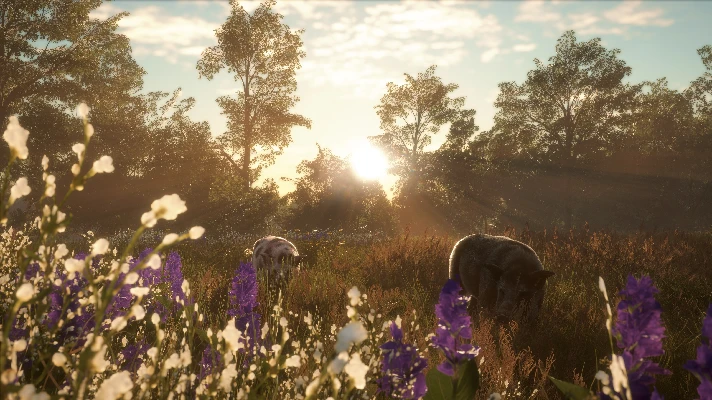 THEHUNTER: CALL OF THE WILD - MISSISSIPPI ACRES PRESERE