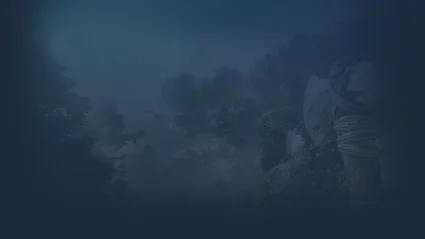 🔥 ARK: Survival Ascended | Steam РУ+UA+KZ+СНГ 🔥