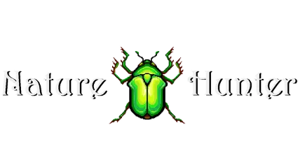 🔥 Nature Hunter | Steam РУ+UA+KZ+СНГ 🔥