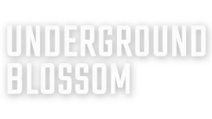 🔥 Underground Blossom | Steam РУ+UA+KZ+СНГ 🔥