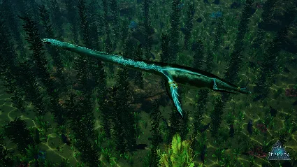 Beasts of Bermuda - Elasmosaurus Supporter Warpaint 💎