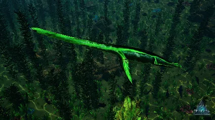 Beasts of Bermuda - Elasmosaurus Supporter Warpaint 💎