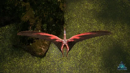 Beasts of Bermuda - Tropeognathus Supporter Warpaint 💎