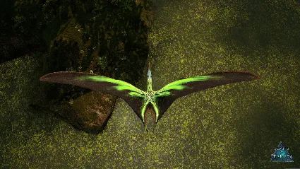 Beasts of Bermuda - Tropeognathus Supporter Warpaint 💎