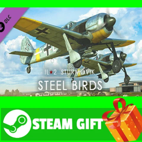 ⭐️ IL-2 Sturmovik: Steel Birds Campaign STEAM GIFT