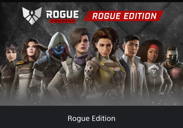Rogue Company  PS4/PS5 ТУРЦИЯ