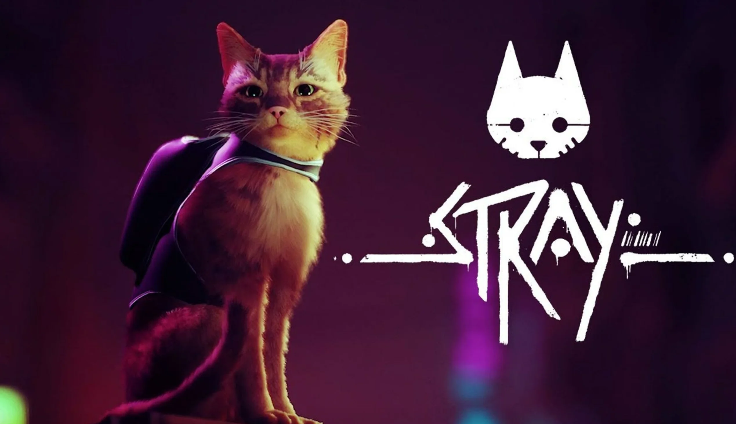Stray  PS4/PS5 Турция