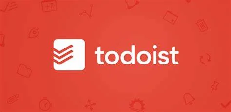 Todoist Pro Membership пополнение счета на 3 месяца
