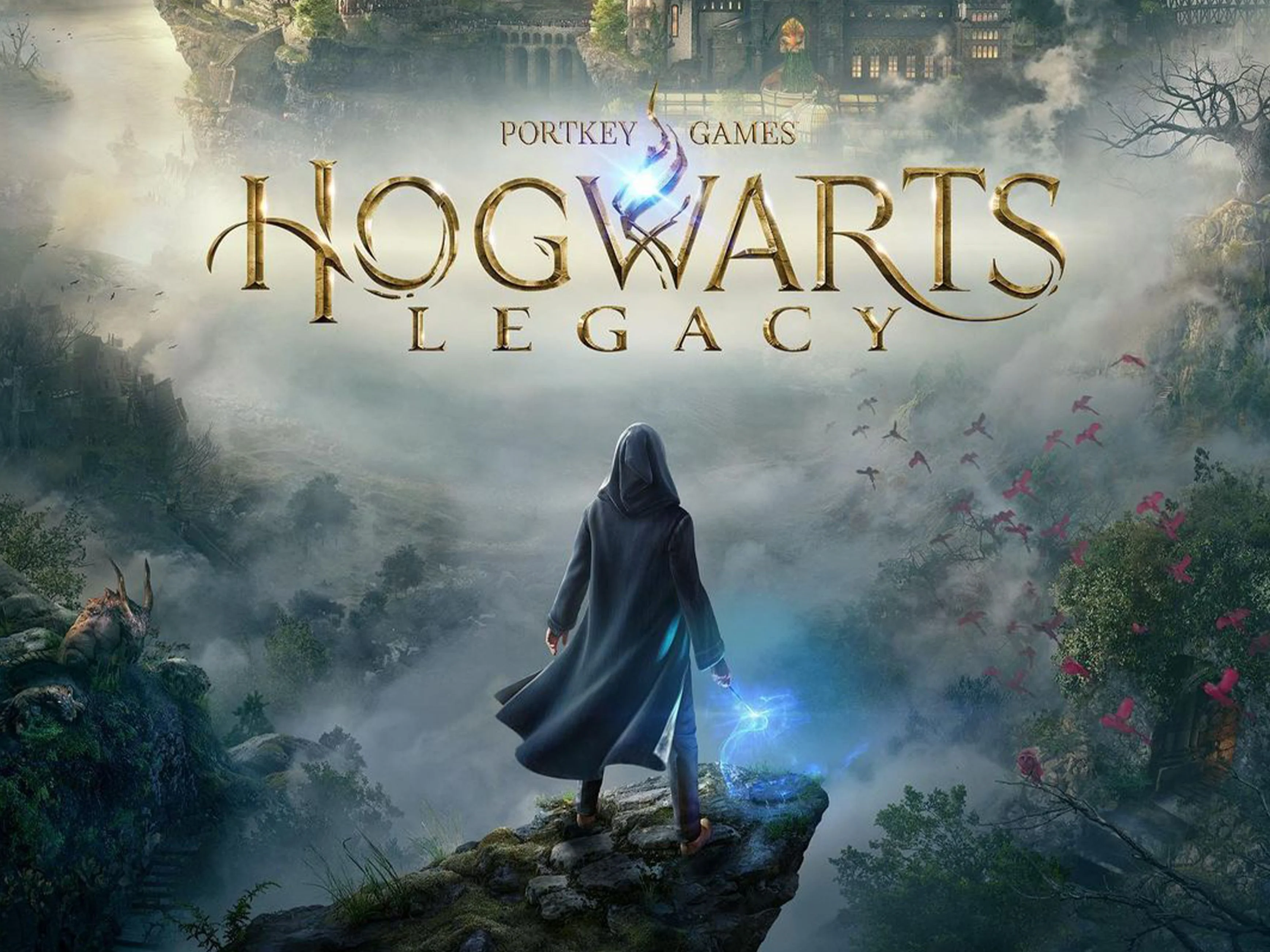 hogwarts legacy Deluxe PS 4 / PS5  Общий