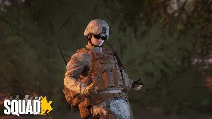 Squad Emotes - Stand Off Pack DLC АВТОДОСТАВКА STEAM РОССИЯ