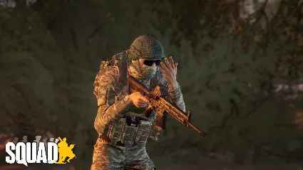 Squad Emotes - Stand Off Pack DLC АВТОДОСТАВКА STEAM РОССИЯ