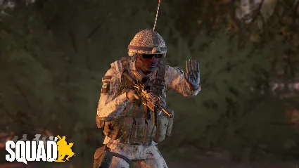 Squad Emotes - Stand Off Pack DLC АВТОДОСТАВКА STEAM РОССИЯ