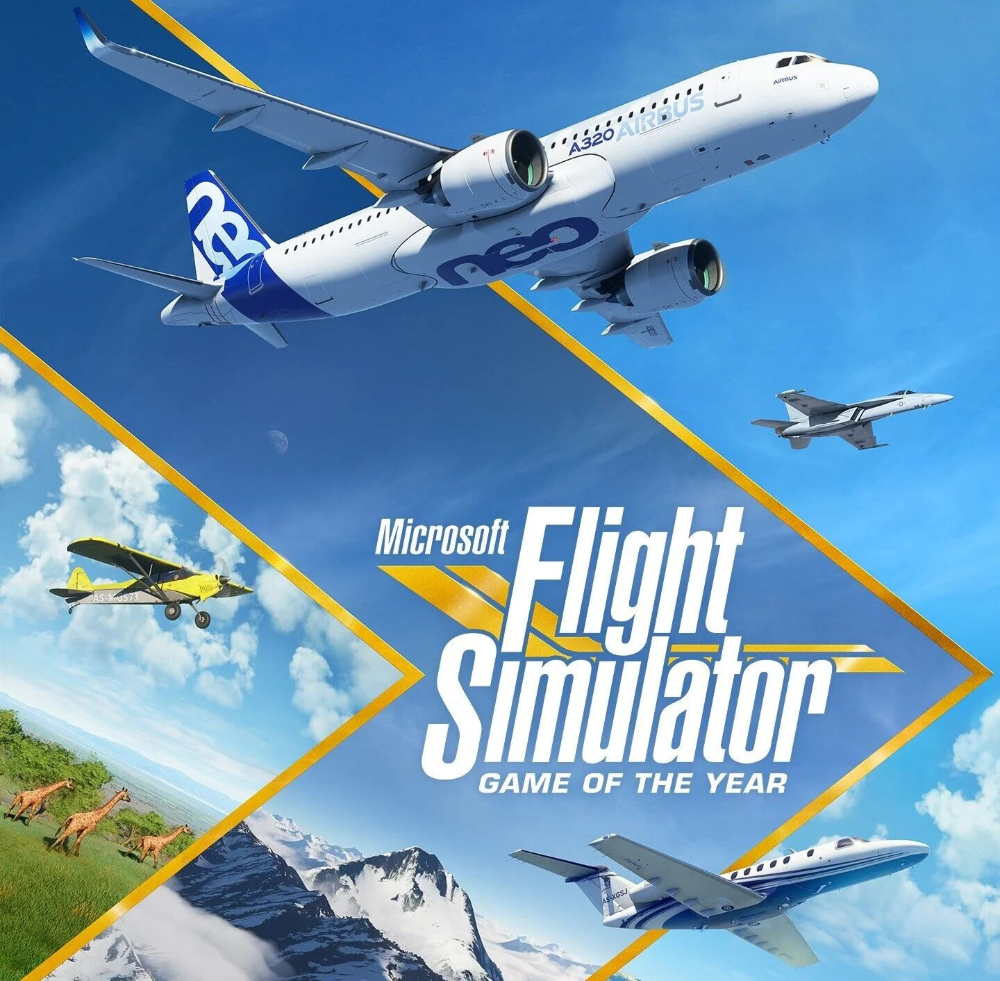MICROSOFT FLIGHT SIMULATOR 40th Anniversary / STEAM