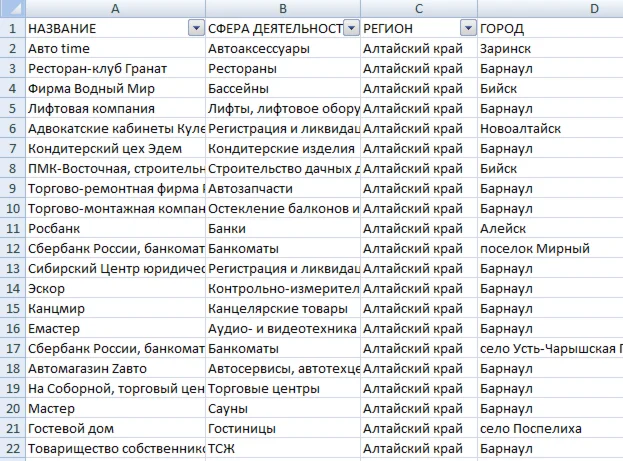 База юр.лиц, Амурская область, 4916 записей, 1152 email