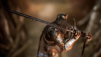 Lords of the Fallen - Dark Crusader Starting Class DLC