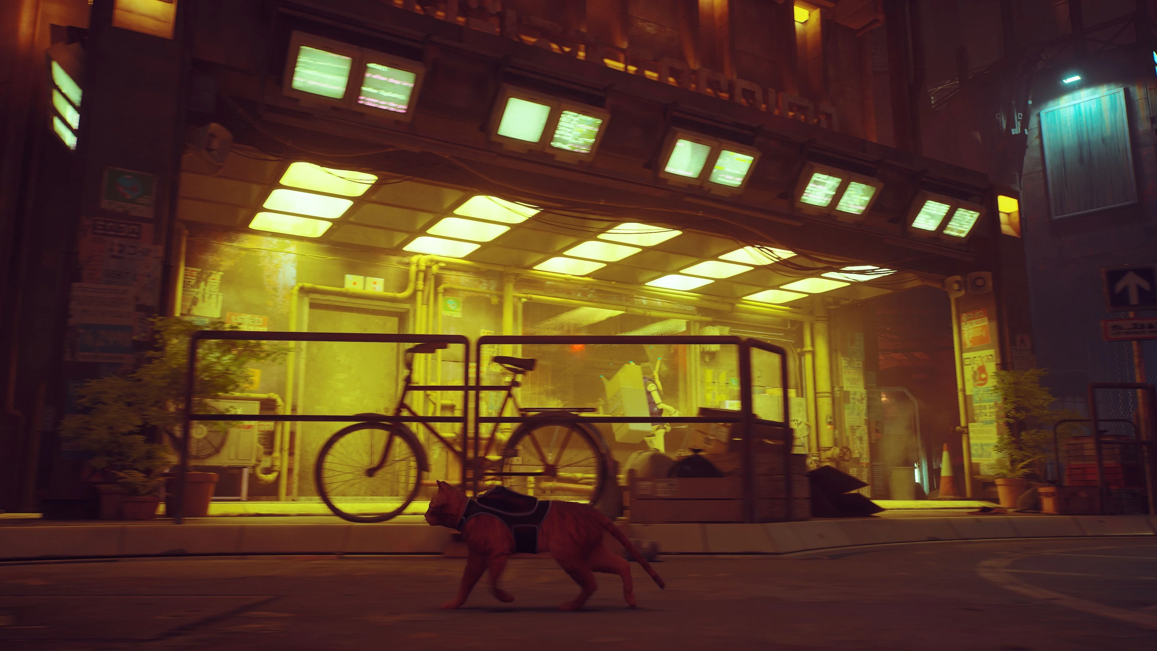 Stray Xbox ONE Series  X/S PC КЛЮЧ