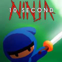 ⭐10 Second Ninja STEAM АККАУНТ ГАРАНТИЯ ⭐