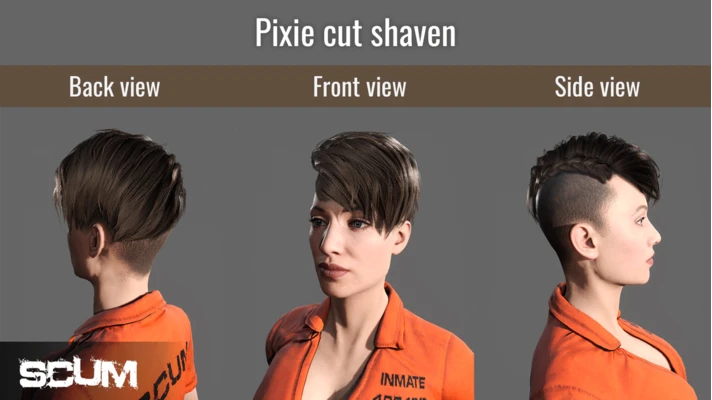 SCUM Female Hair Pack (DLC) 🔑STEAM KEY 🔥RUSSIA+CIS*