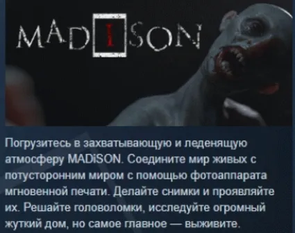 MADiSON АВТОДОСТАВКА STEAM РОССИЯ