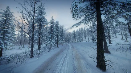 DiRT Rally 2.0 - Sweden (Rally Location) DLC