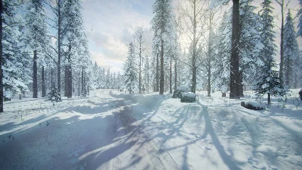 DiRT Rally 2.0 - Sweden (Rally Location) DLC