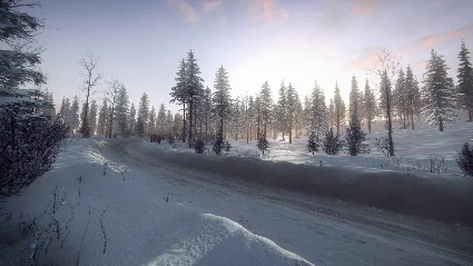 DiRT Rally 2.0 - Sweden (Rally Location) DLC