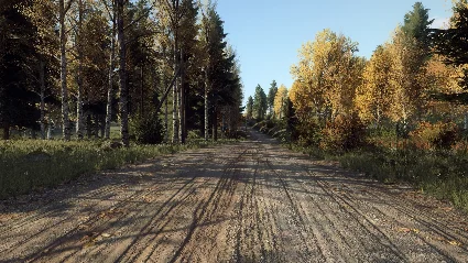 DiRT Rally 2.0 - Finland (Rally Location) DLC