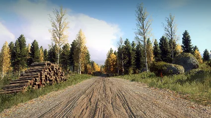 DiRT Rally 2.0 - Finland (Rally Location) DLC