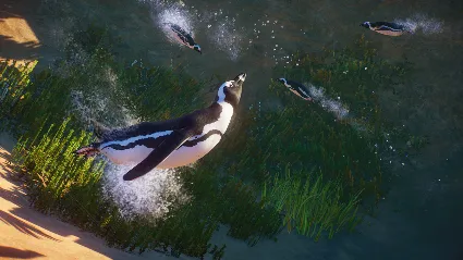 Planet Zoo: Africa Pack DLC * STEAM 🔥 АВТОДОСТАВКА