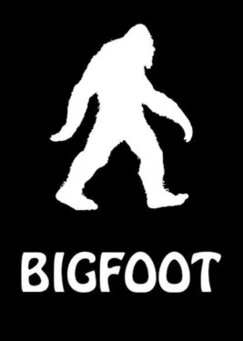  BIGFOOT