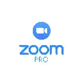 Zoom One Pro To Your account [ — фото 1