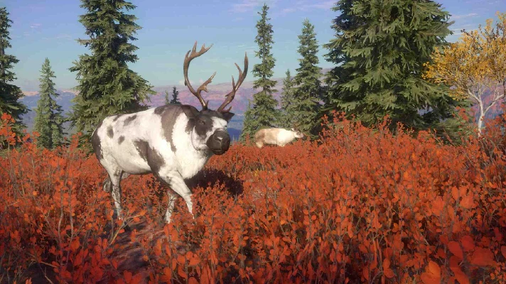 ✅THEHUNTER: CALL OF THE WILD - YUKON VALLEY❤️XBOX🔑KEY