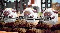 ✅❤️PALWORLD (GAME PREVIEW)❤️XB — фото 5