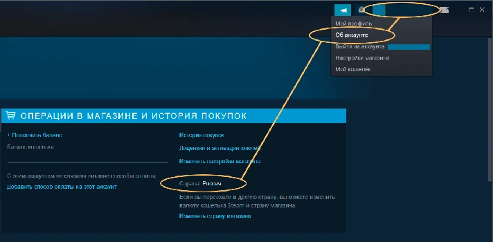 🎁Complete Cossacks 3 Experience🌍ROW✅AUTO