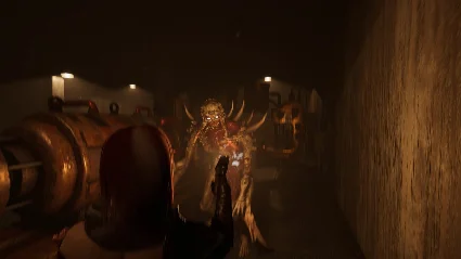 🔥 Despair: Blood Curse | Steam РУ+UA+KZ+СНГ 🔥