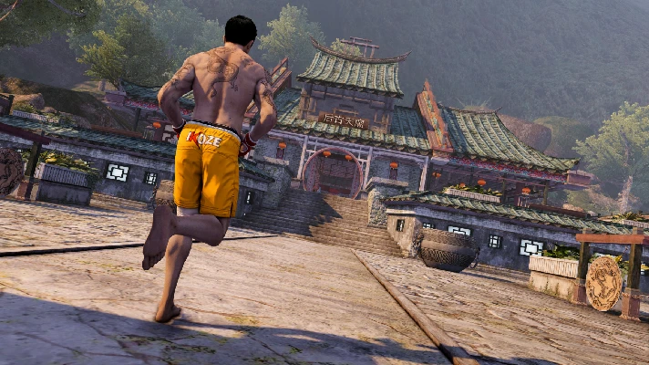 Sleeping Dogs: Definitive Edition (Steam Gift RU UA KZ)