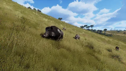 Way of the Hunter - Matariki Park DLC STEAM РОССИЯ
