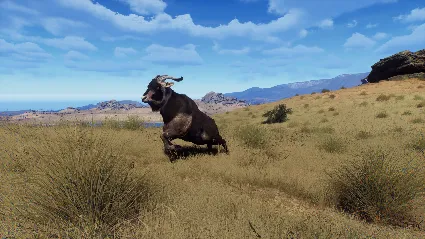Way of the Hunter - Matariki Park DLC STEAM РОССИЯ